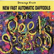 Part Four by New Fast Automatic Daffodils
