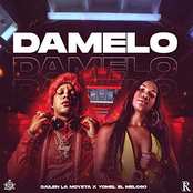 Damelo