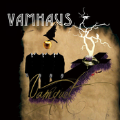Vamhaus