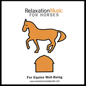 Relaxation Music for Horses