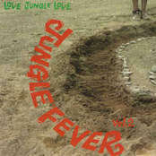 Jungle Fever Vol. 2 - Love Jungle Love