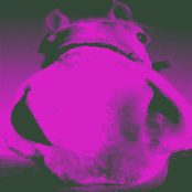 Horse is a Three Letter Word