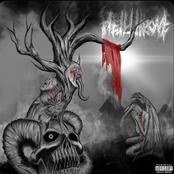 Count Your Fucking Days