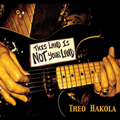 This Land Is Not Your Land by Theo Hakola