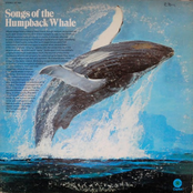 Songs of the Humpback Whale