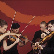 the chiara string quartet