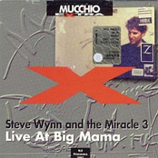 Something To Remember Me By by Steve Wynn & The Miracle 3