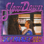 Slow Down (Acoustic) - Single
