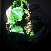 Earth and Its Contents