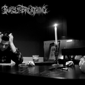 In the End We All Get Caught