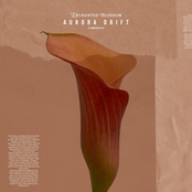 Aurora Drift