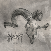 Into The Woods Of Oblivion