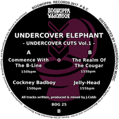 Undercover Cuts Vol 1