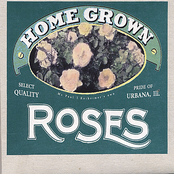 Home Grown Roses