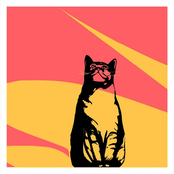 Better Luck Next Time