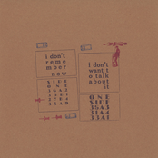 I Don't Remember Now / I Don't Want To Talk About It