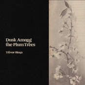 Dusk Among the Plum Trees