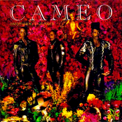 That Kind Of Guy by Cameo