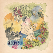 Acid Love by Sleepy Sun