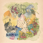 Open Eyes by Sleepy Sun