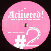 The Language Of Acid Vinyl