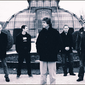 IQ photo provided by Last.fm