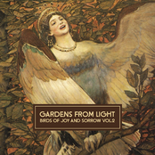 Birds Of Joy And Sorrow Vol. 2