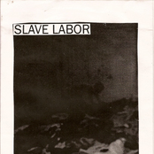 A Sick Cow? / Transvestite #1