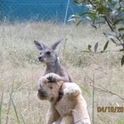 moms against drug use