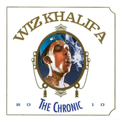 the chronic 2010