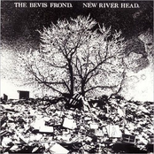 New River Head by The Bevis Frond