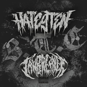 Beneath the Concrete