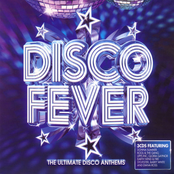 Disco Fever