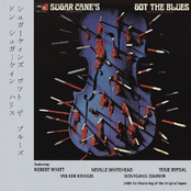 Got The Blues