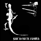 Shed / Bite Marks - Single
