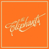 The Elephants