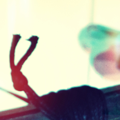 From soundcloud.com/dreamcurtain