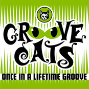 groove cats