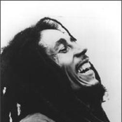 bob marley (with the wailers)