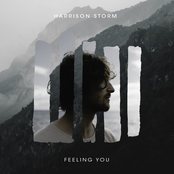 Harrison Storm - Feeling You