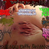 7 Way Split Bizarre Pussy Mutant (2012)