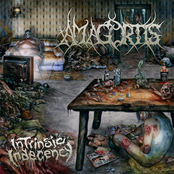 Intrinsic Indecency (2010 Brutal Bands)