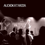 audiokatarzia