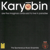 Karyobin Part 1 by Spontaneous Music Ensemble