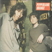 Pepperland Orange