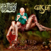CONTORTED MUTILATION-EP