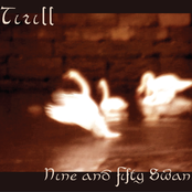 The Wild Swans At Coole by Tirill