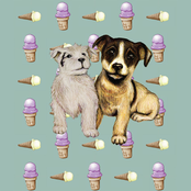 Farewell Continental