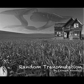 Random Transmutation