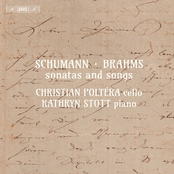 R. Schumann, C. Schumann & Brahms: Sonatas & Songs